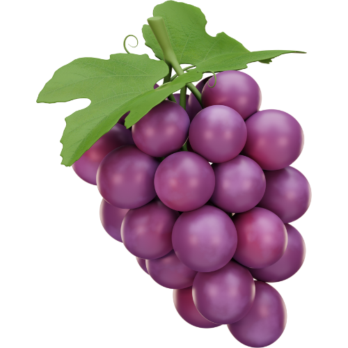 Ukusni trenuci s našim vinima