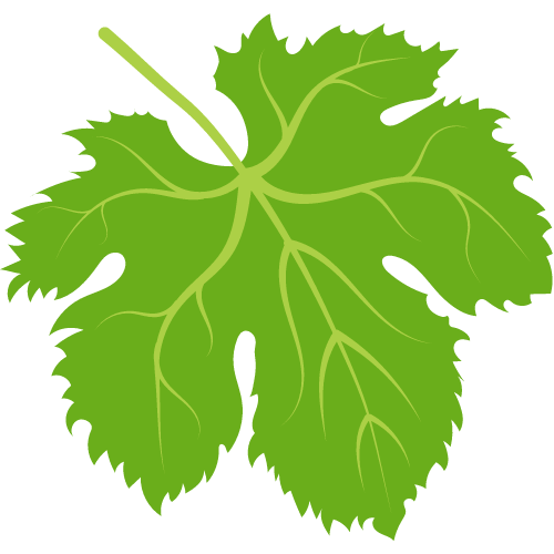 Zdravlje i uživanje uz naša vina